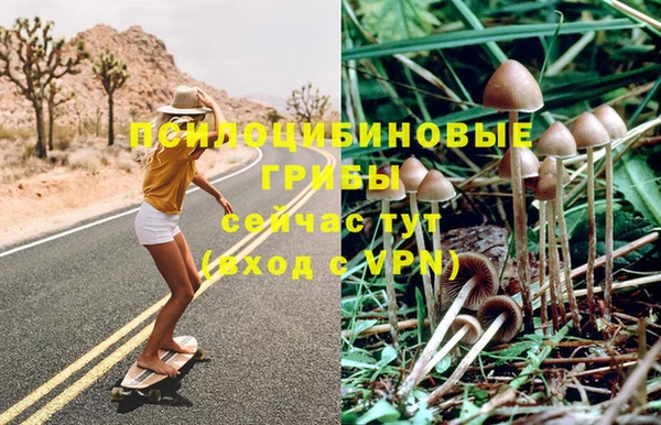эйфоретик Осинники